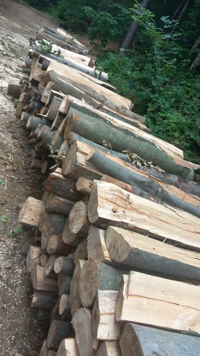 Vând lemne de foc fag crepatura și răritură  detali la tel 0745362981