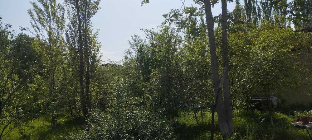 Срочно уй сотилади