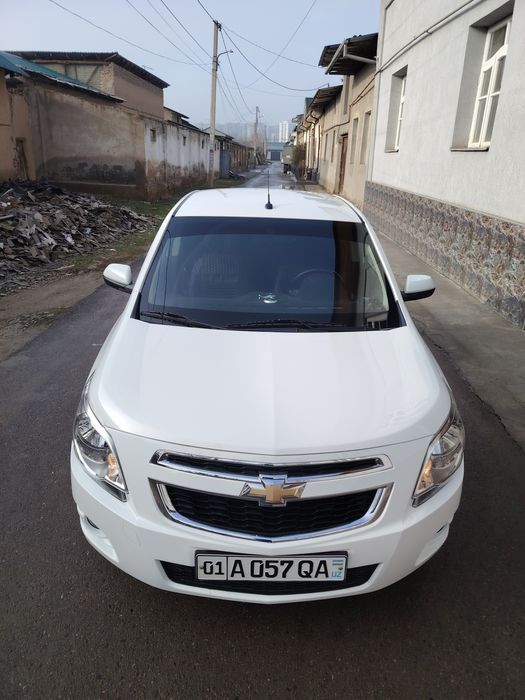 Кобал холати яхши битта кол