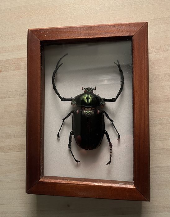 Уникални ръчно изработени картини