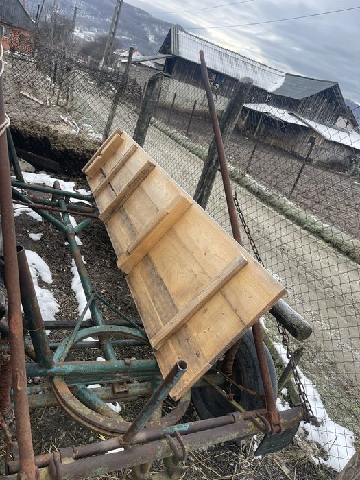 Caruta de in cal si doi