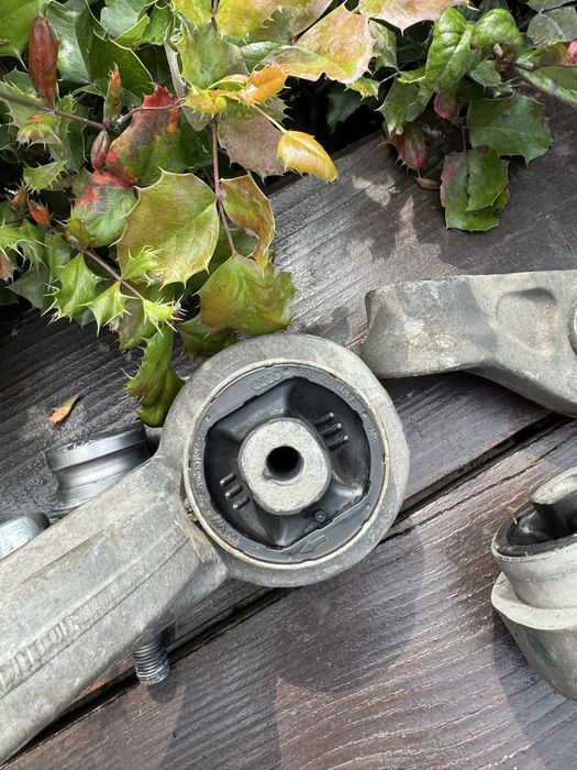 Brate fata si pivoti