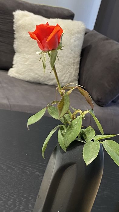 Дава се под наем Тристаен апартамент в Варна, м-т Траката - 70 кв.м за 750 € - Снимка #19