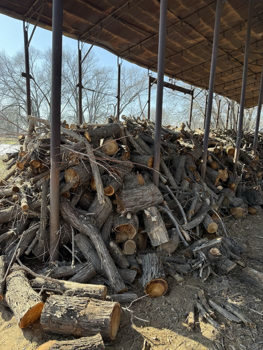Продам дрова джигиды