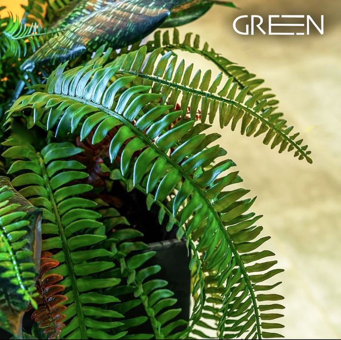 Озеленение | потолок | кашпо | фитостены