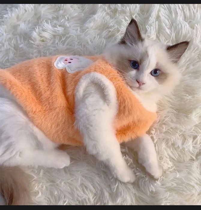 Продаю. Одежда для кошек и собак.