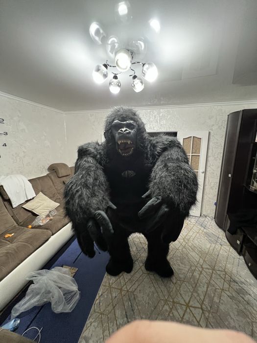 Продажа костюма Кинконг/Горилла цена 7000