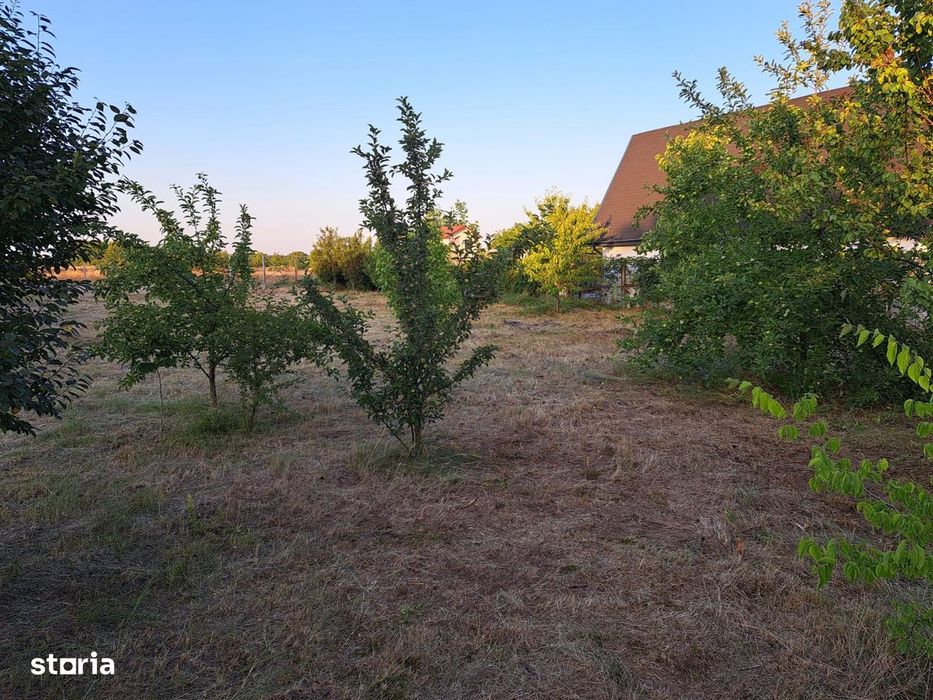 Vanzare teren intravilan imprejmuit 800mp Buftea