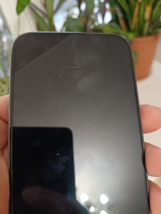 iPhone 13 pro maks