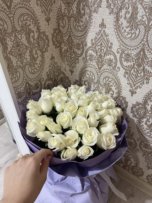 Белые розы 51шт