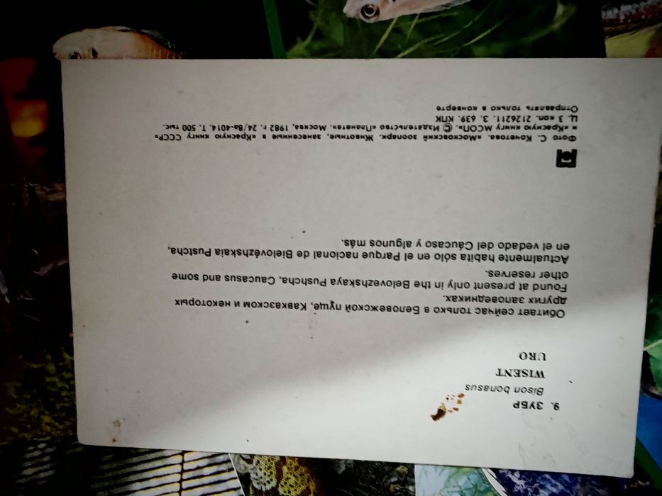 Открытки животных 82 и 88 гв