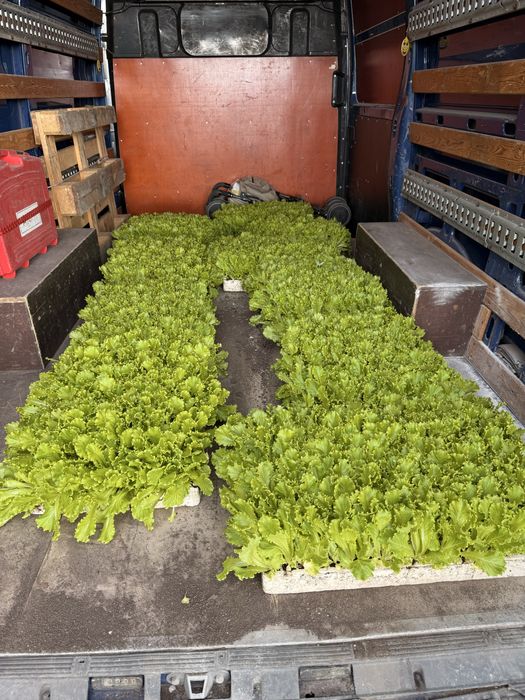 Транспортни и хамалски услуги с бус