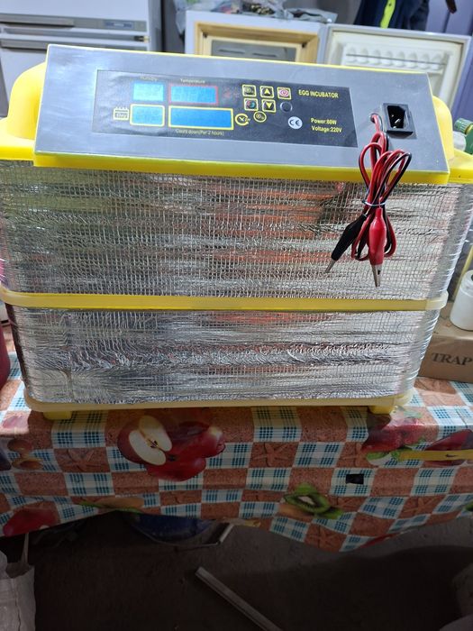 Инкубатор для яиц