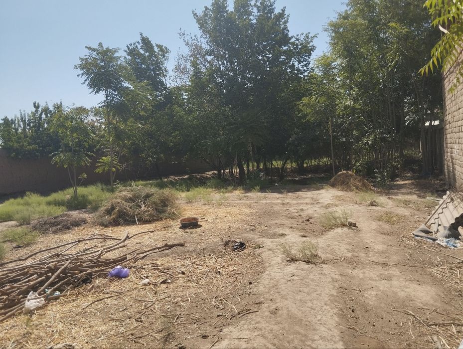 Yer sotiladi Aralovul mahallasi