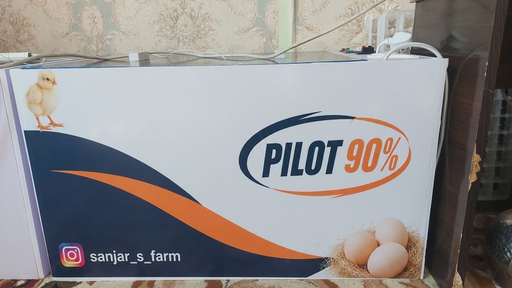 Inkubator Pilot 90