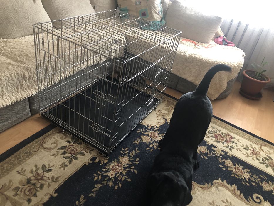 Продам клетку для собак