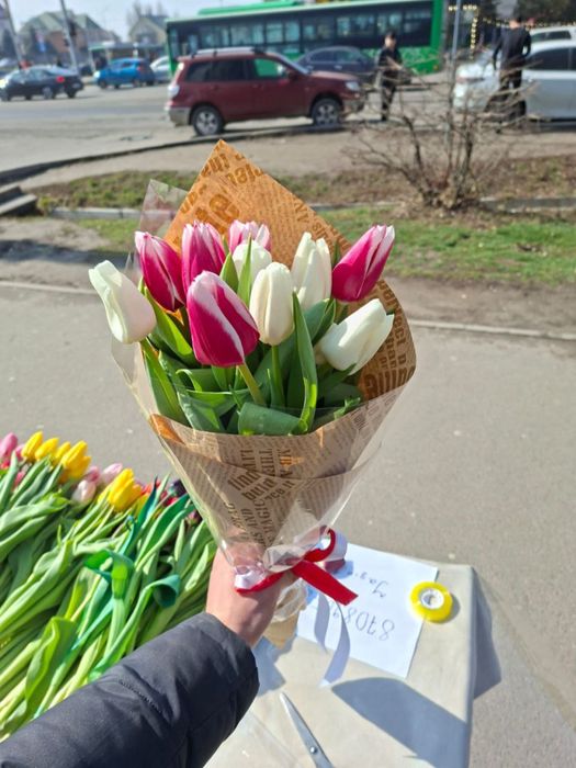 Тюльпаны по 500 тг