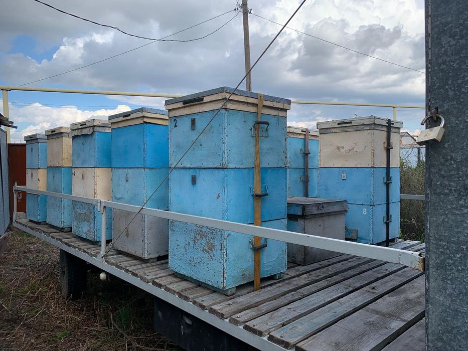 Прицеп для пчел с  ульями