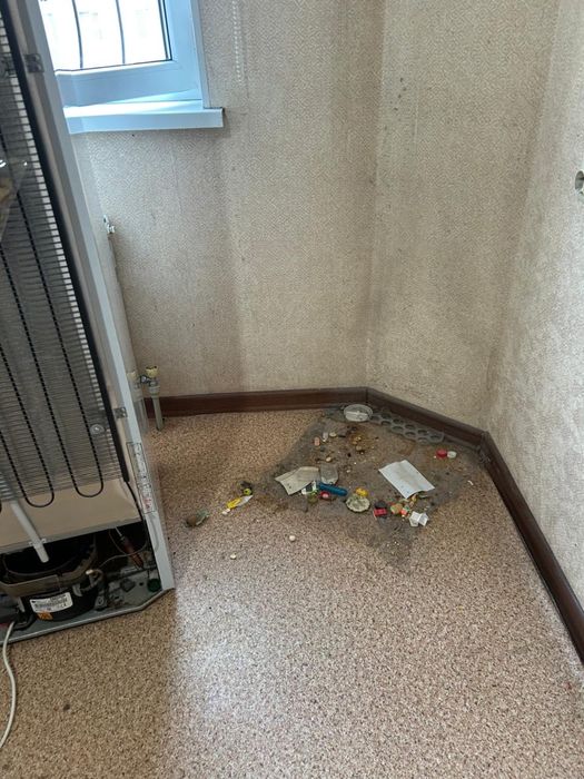 Erkenaz_clining_shym