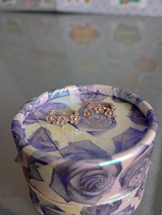 Сребърни Обеци 25лева.