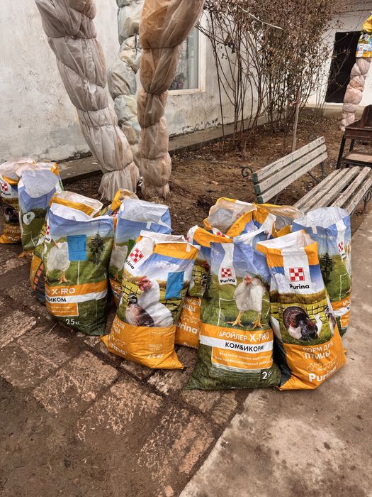 Лучшее удобрение для сада и огорода