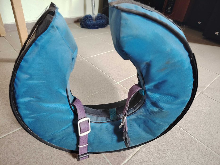 Guler protecție câini de talie mare