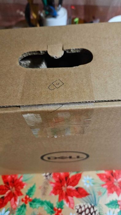 Dell P2423D – 24″ QHD IPS монитор (НОВ, неотварян)