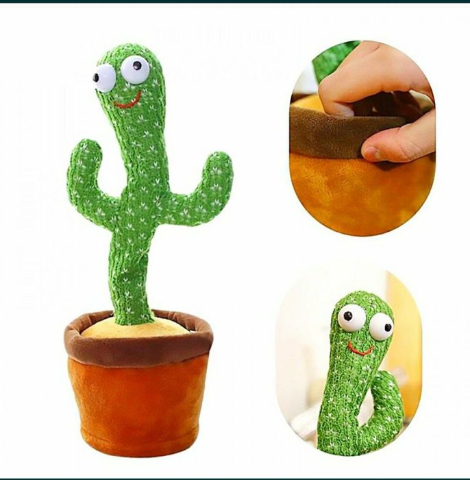 Танцующий кактус