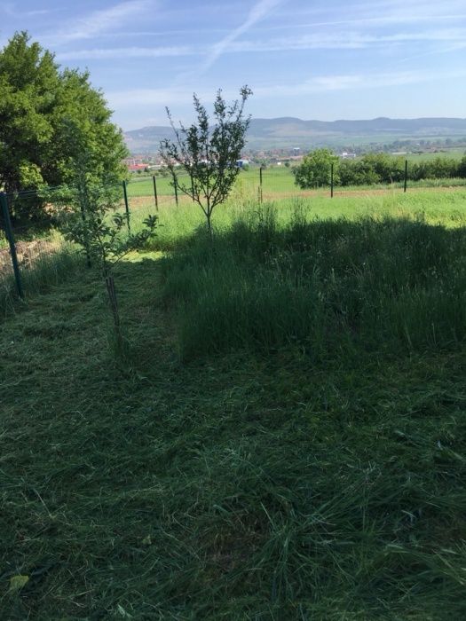 Косене на трева подрязване на храсти почистване на места