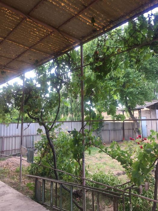 Dacha sotiladi o'rta saroyda