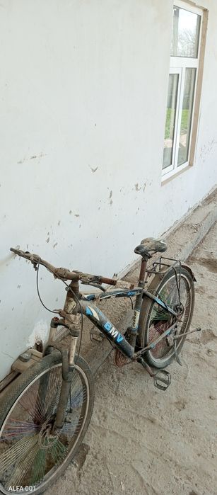 Velosioed. Forword, tuzatib haydadh uchun zoʻr tanlov.