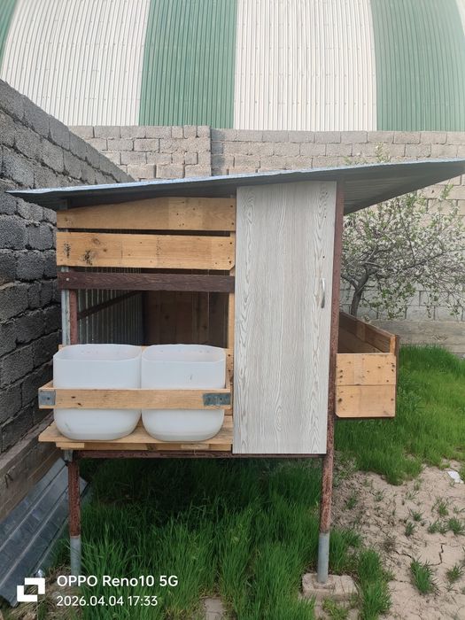 Қора Қошқар бордақылайтын