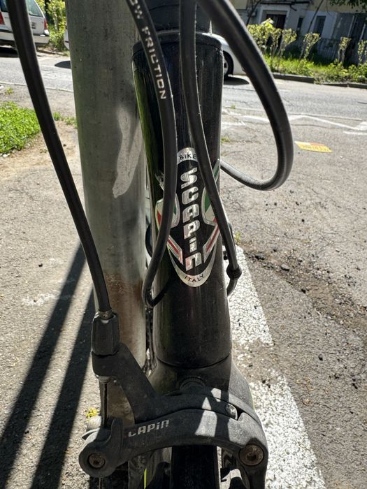 Cursiera Scapin Shindy