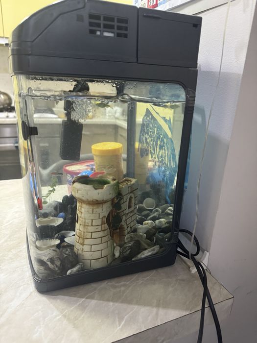 Аквариум Jebo с рыбками, срочно