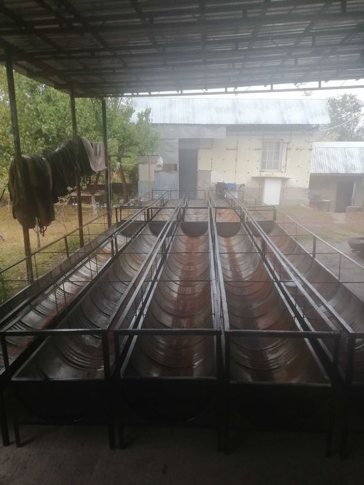 Астау кормушка науа