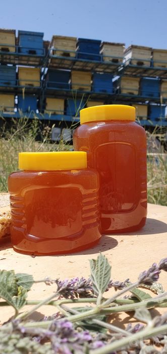МЁД  натуральный цветочный  от производителей
