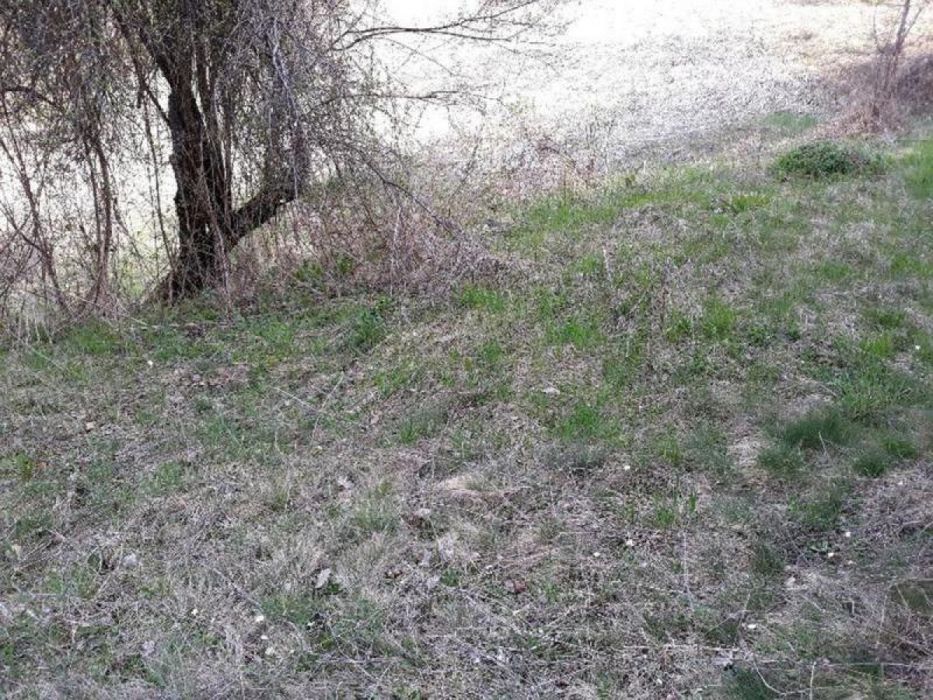 Къща в с. Студена