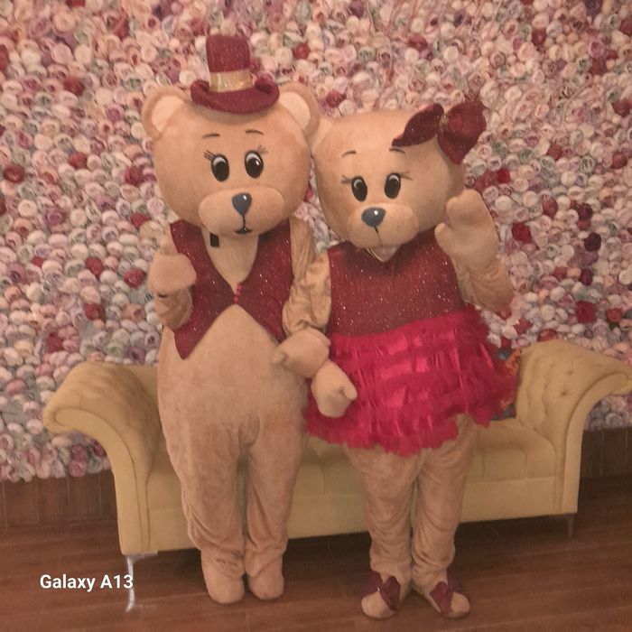 Айиклар хизмати. Аниматор хизмати.