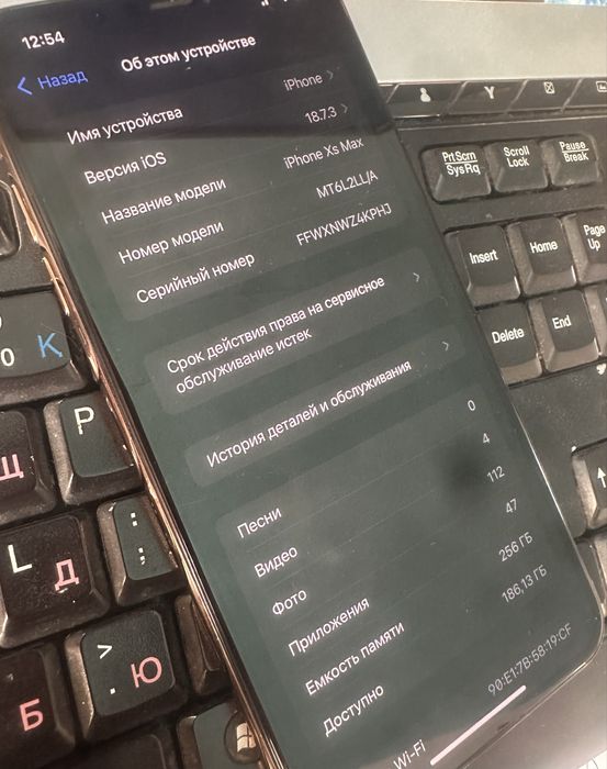 iPhone XS Max 256 GB