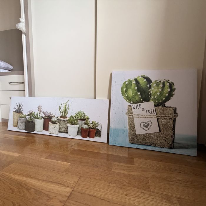 Картини в перфектно състояние,