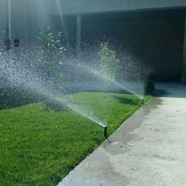 Тайрё Газон ёткизиш