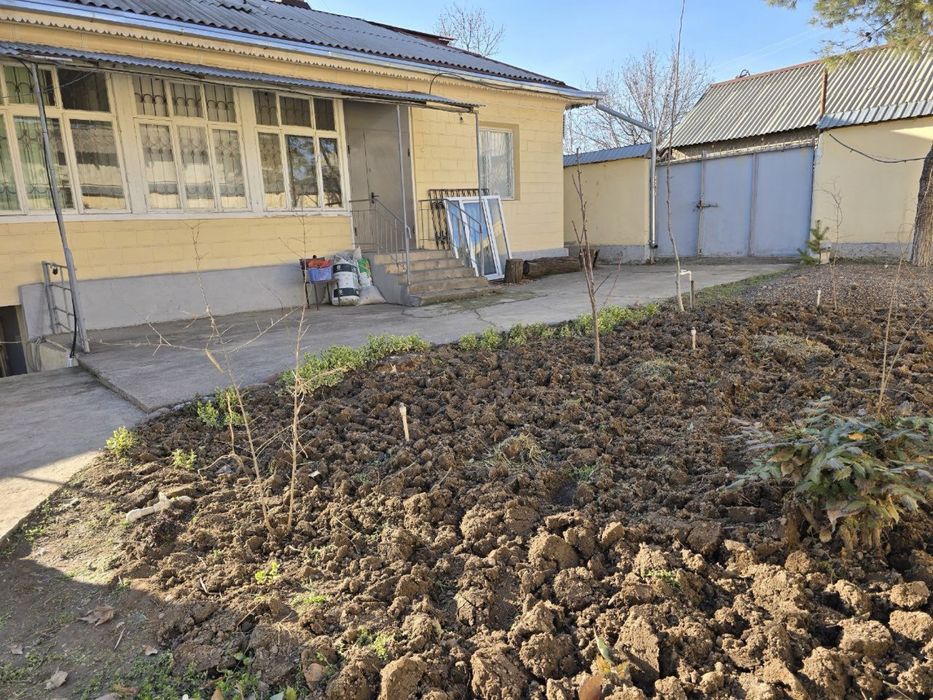 Дача паркент Дала Ховли 1 катор кочани йузида