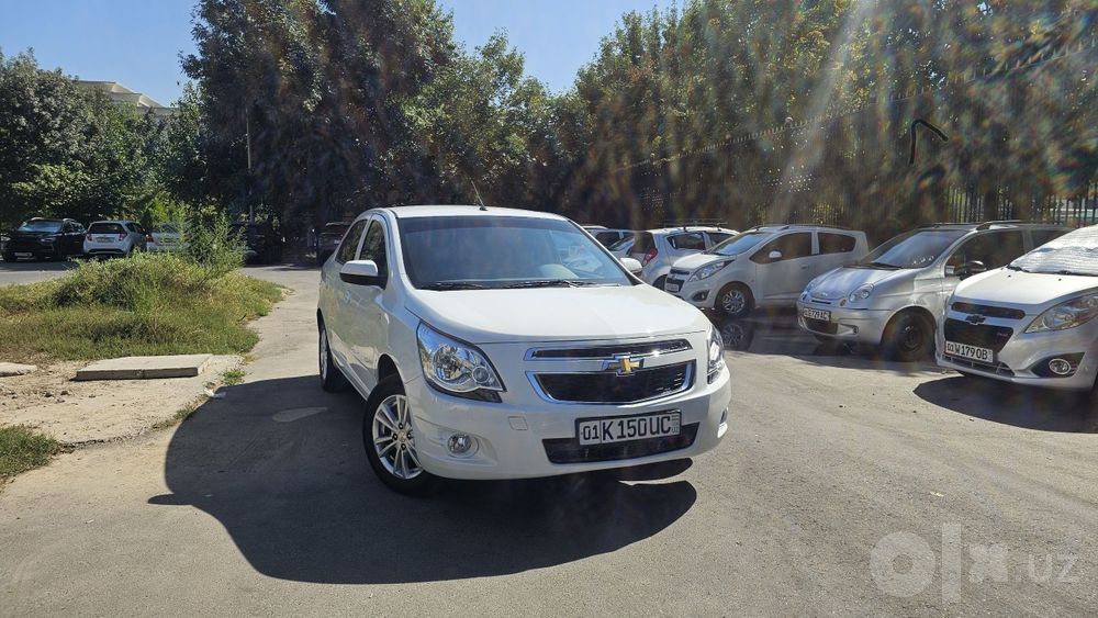Cobalt LTZ 2024 yil