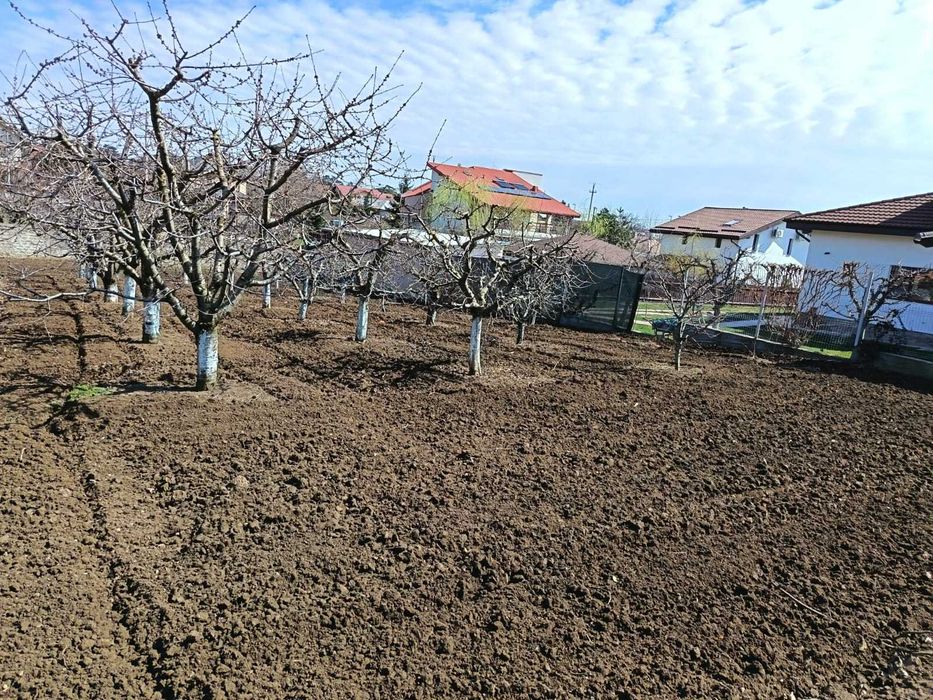 Vils la gri in Buftea, Strada Indepententei,NR 8 ,Calul Balan