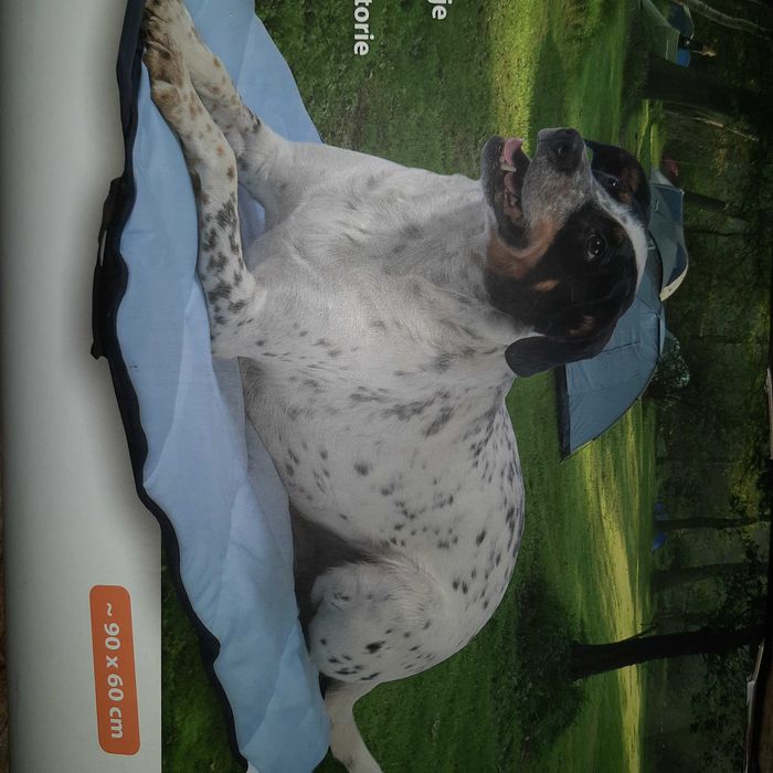 намалена цена 28лв Охлаждащо одеяло за пътуване на домашни любимци