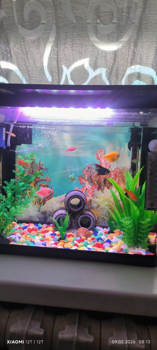 Аквариум в полном комплекте с рыбками