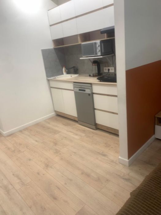 Современная студия с тропическим душем посуточно