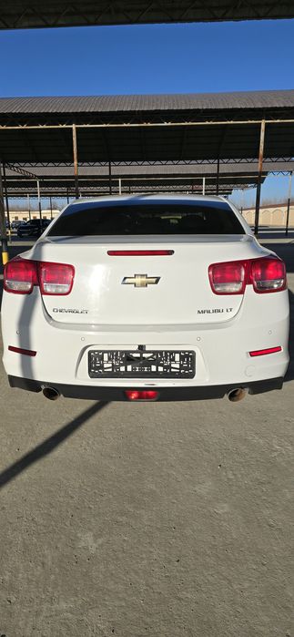 Malbu1 2chi podisiya