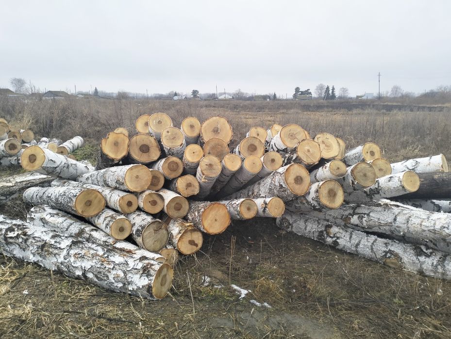 Деловой лес(кругляк)