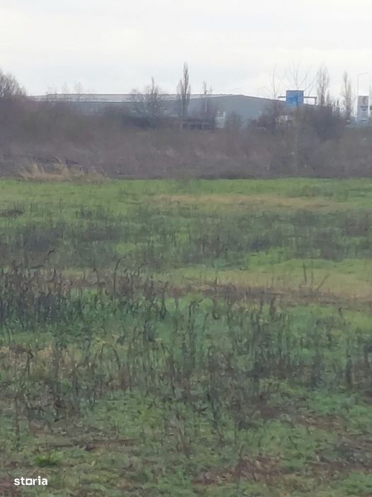 Teren industrial Borș - aproape de centura Borș 2